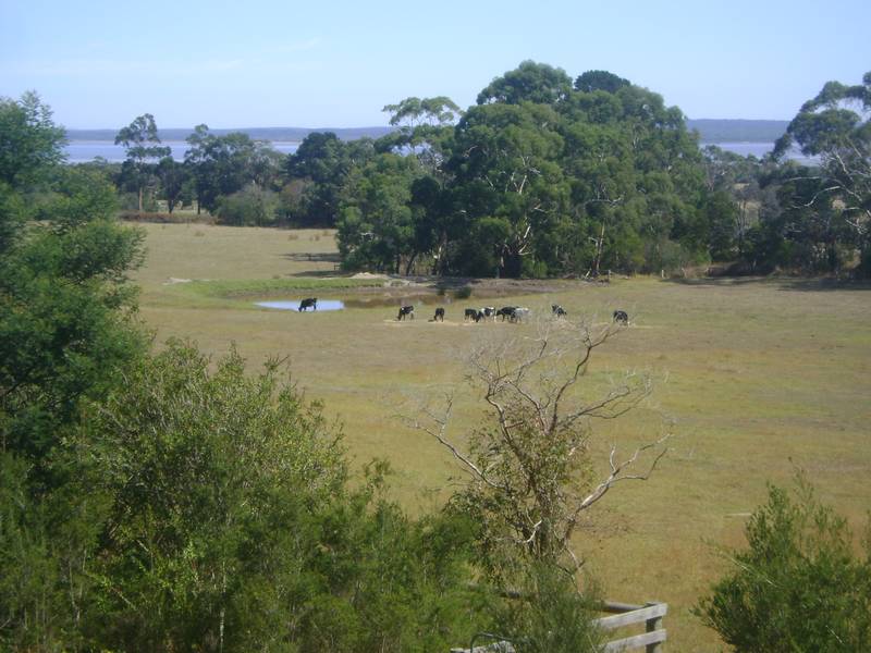 Gentle Patures,& Great Views Of
Westernport Bay Picture 3