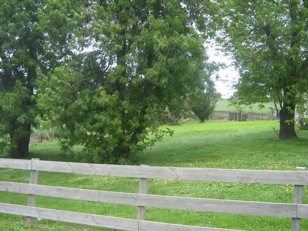 Good Things Come in 3's Picture 2