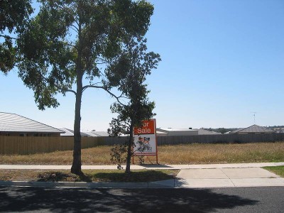 Walk to Beach Picture