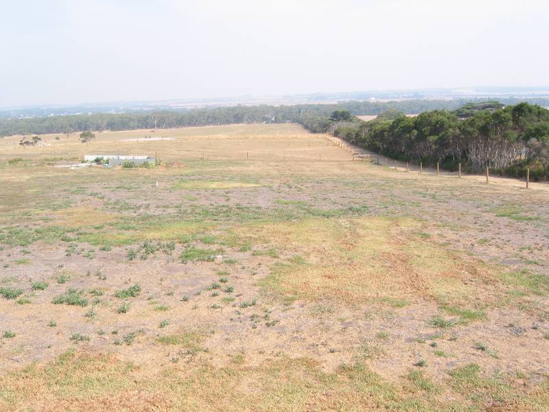 Ideal Investment Picture 3