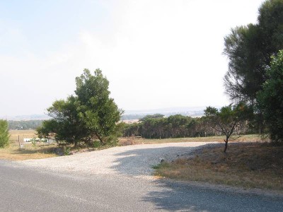 Ideal Investment Picture