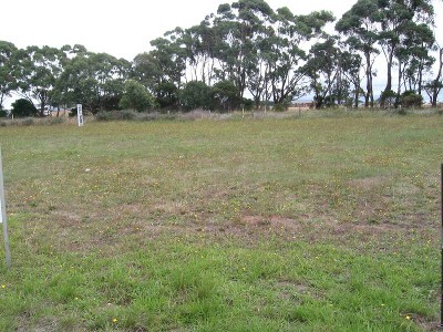 Vacant Land Picture