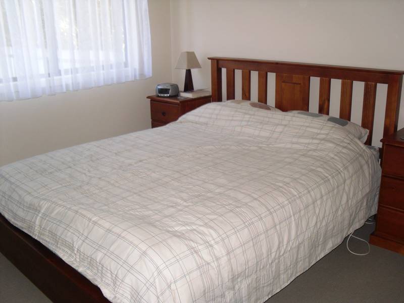 Holiday Rental- x-mass only Picture 3