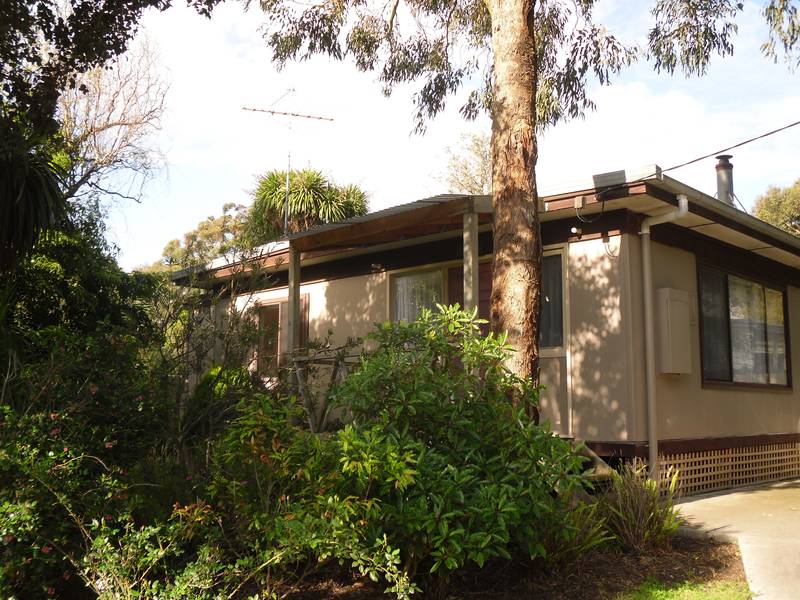 Holiday Rental- x-mass only Picture 1