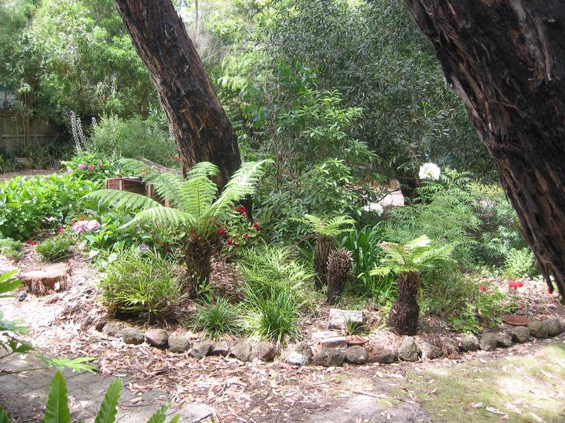 Holiday Rental- Pet Friendly- x-mass only Picture 2