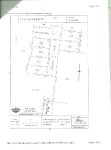 Your chance to go back in time! Picture