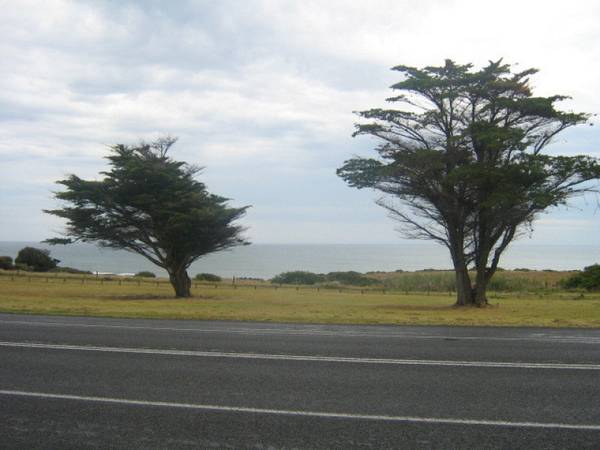 Can you Sea you & your Business Hear?! Picture 2