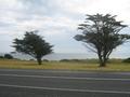 Can you Sea you & your Business Hear?! Picture