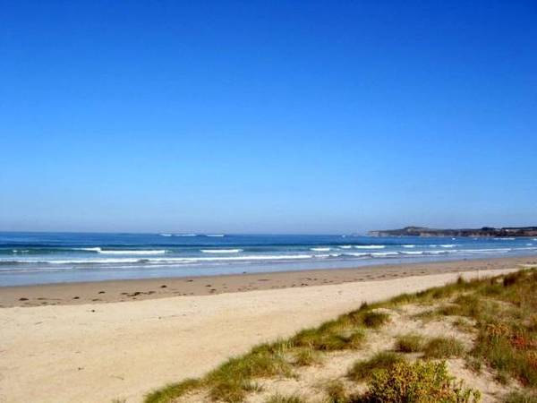 Residential Land Picture 2