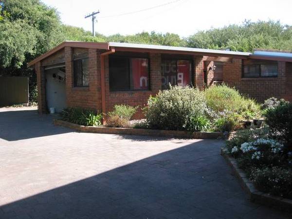 Surf Sounds Picture 3