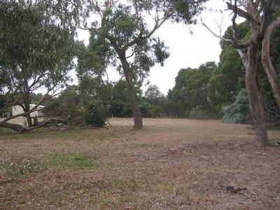 Vacant 1 Acre Picture