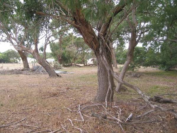 Vacant 1 Acre Picture 3