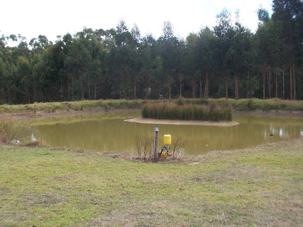 Family Home on 7 Acres. Picture 3