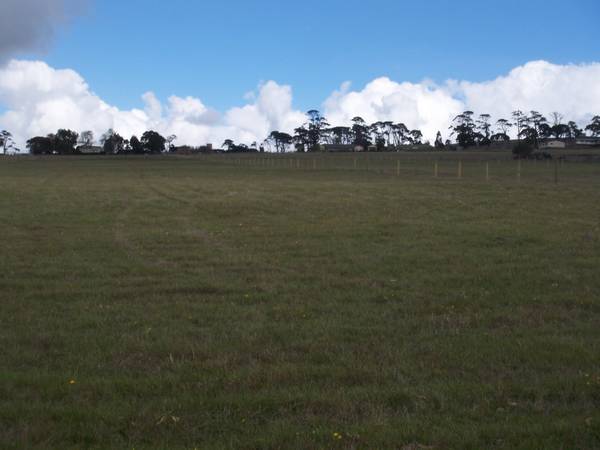 2.5 Acre Building Blocks Picture 2