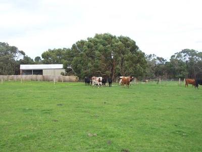 150 Acres - 60.7 HA - High Rainfall Picture