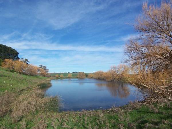 260 Acres - Dairy Farm - High Rainfall Picture 3