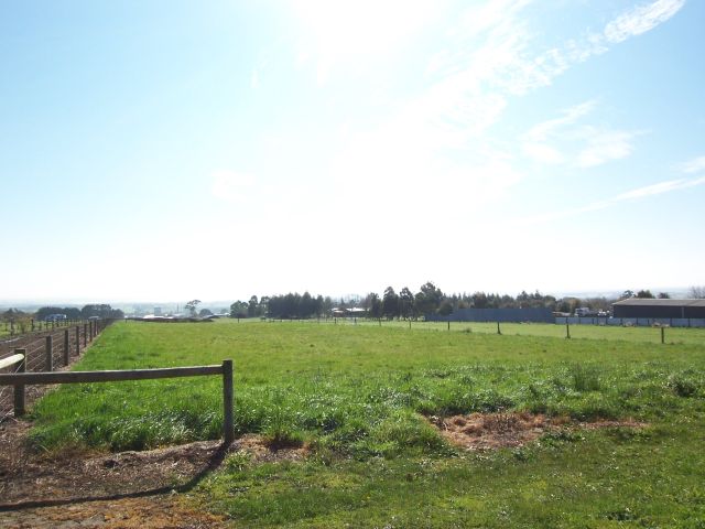 Ideal Lifestyle Block! Picture 2