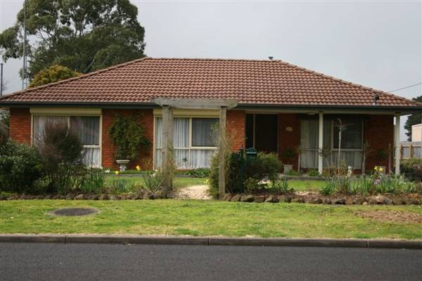 Looking for the Best? Picture