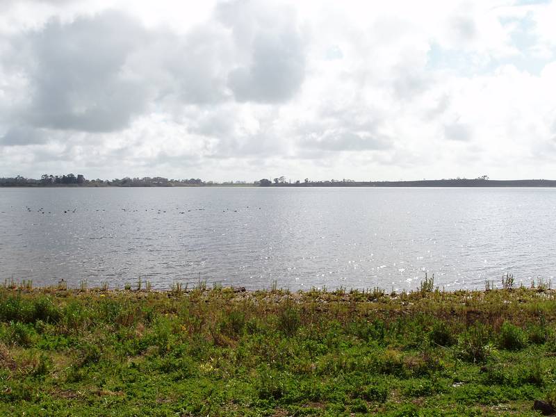 Realise Your Waterfront Dream Picture 1