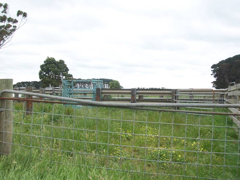 158 acres - Ideal Dairy Outpaddock Picture 158 acres - Ideal Dairy Outpaddock Picture