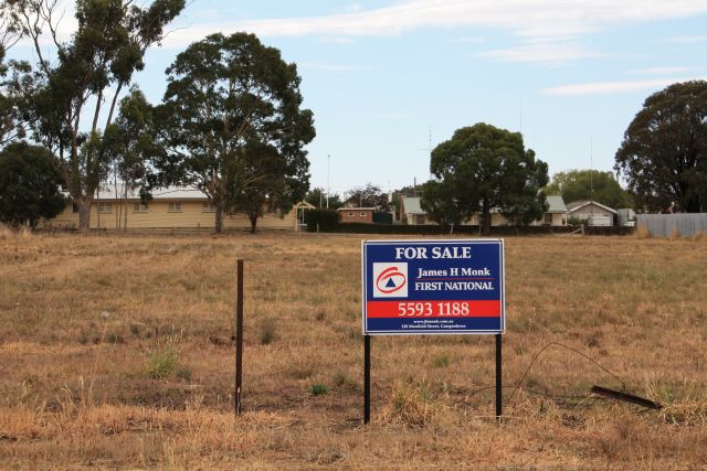 Half Acre Tree Change Picture 2