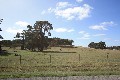 4.5 acres of Stunning Cobden Land Picture