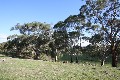 GRAZING
LIFESTYLE
WILDLIFE Picture