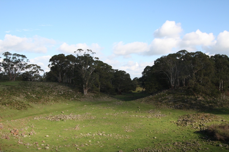 GRAZING
LIFESTYLE
WILDLIFE Picture 2