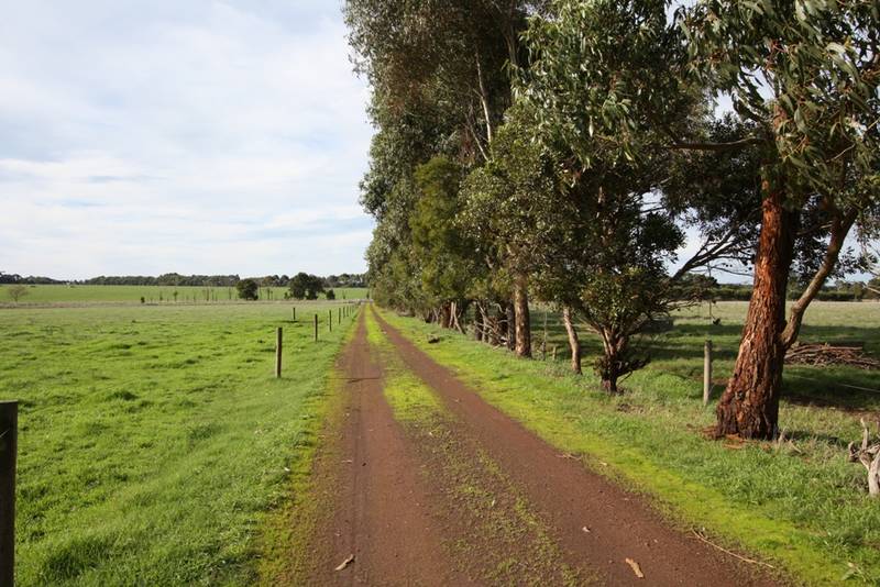 CAMPERDOWN - COBDEN AREA - WESTERN DISTRICT Picture 2