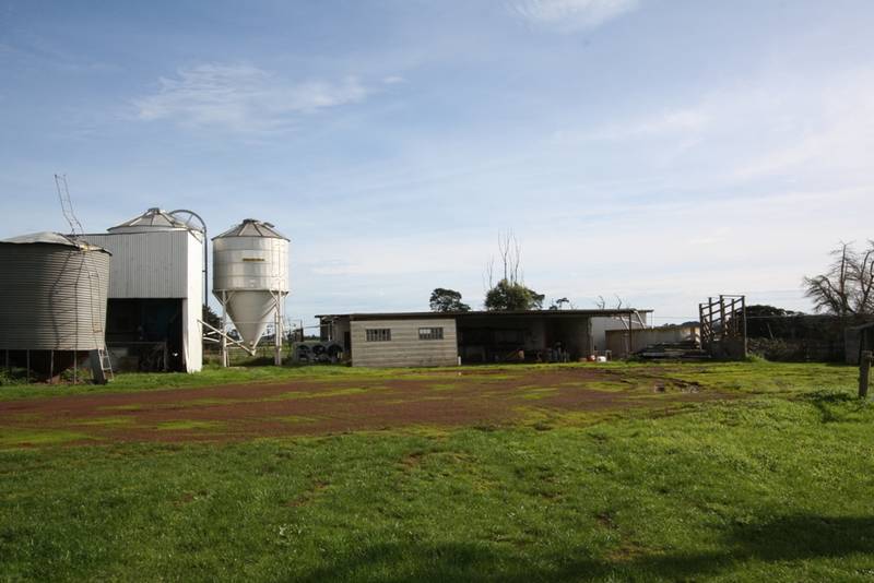 CAMPERDOWN - COBDEN AREA - WESTERN DISTRICT Picture 1