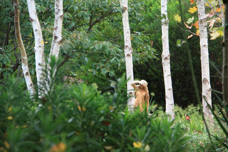 SPECTACULAR LAKESIDE GARDEN Picture 3