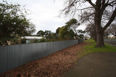 Camperdown Building Block Picture