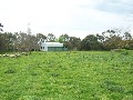 Endless Possibilities!! - 1.28ha / 3.16 acres Picture Endless Possibilities!! - 1.28ha / 3.16 acres Picture