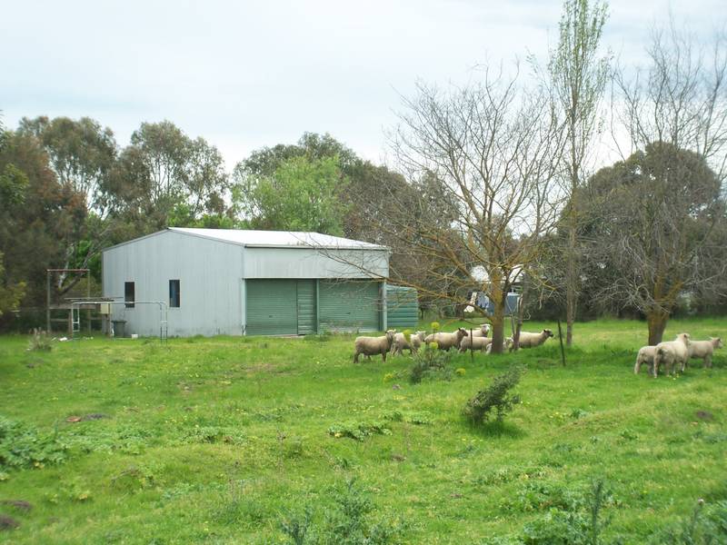 Endless Possibilities!! - 1.28ha / 3.16 acres Picture 1