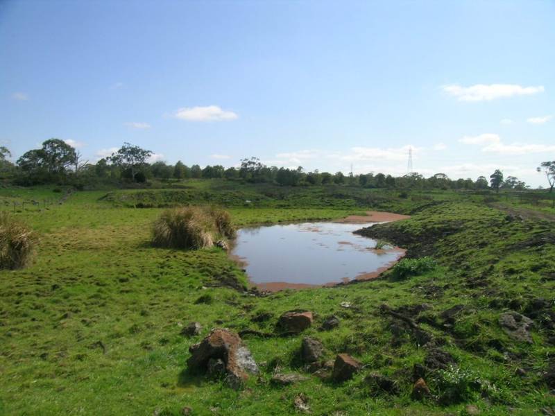 388 Acres - 157 HA - Dairy or Grazing Picture 3