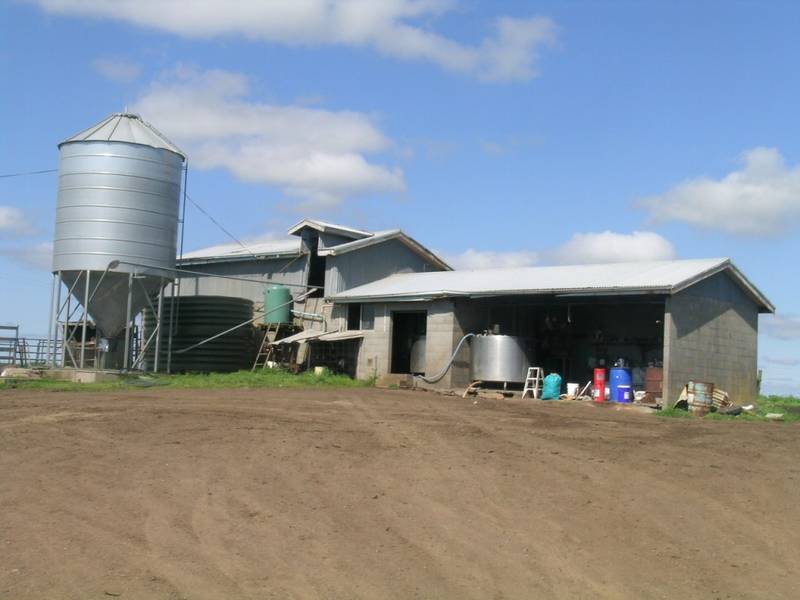 388 Acres - 157 HA - Dairy or Grazing Picture 2