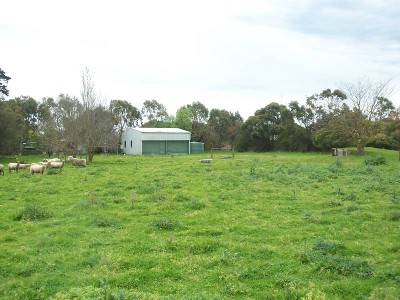 Endless Possibilities!! - 1.28ha / 3.16 acres Picture
