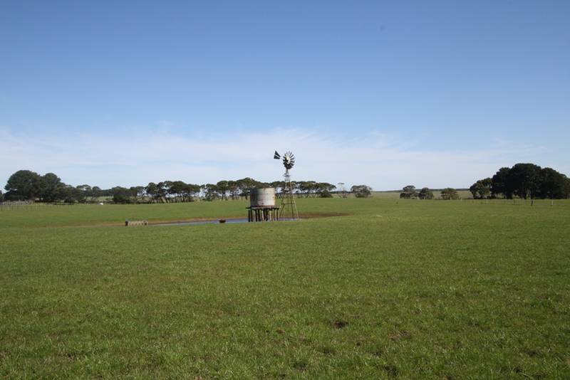 Farmlet - 46 Acres - 18.61HA Picture 3