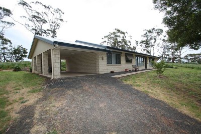 Escape to the bush! Picture