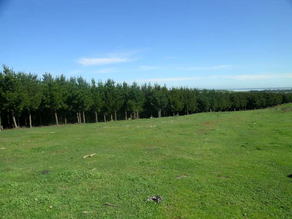 30 acres of Opportunity Plus Picture 2