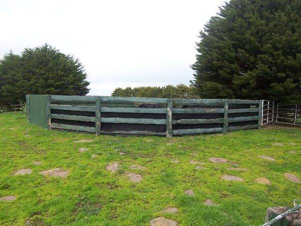 302 Acres - 122 HA - Grazing- Equine Breeding Complex Picture 3