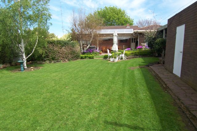 A Gardeners Paradise! Picture 2