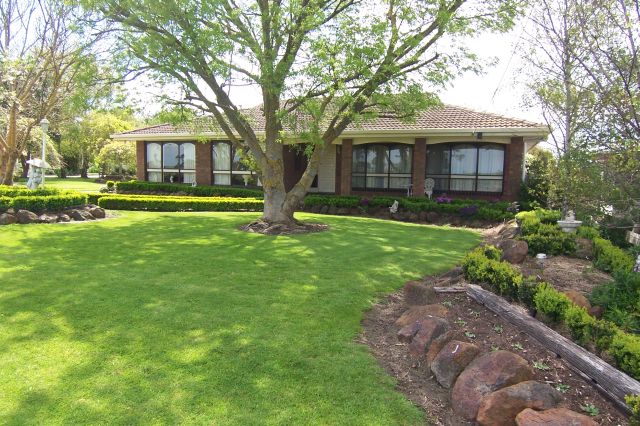 A Gardeners Paradise! Picture 1