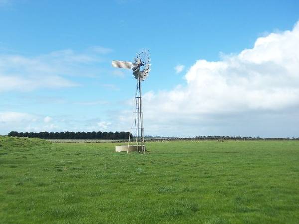 DAIRY
GRAZING
LIFESTYLE Picture