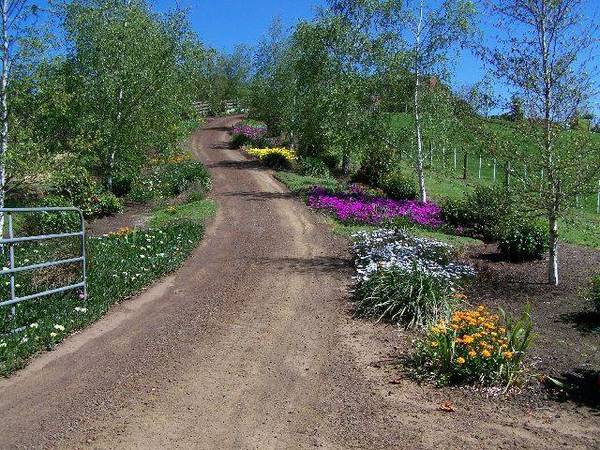 The ultimate lifestyle property - 12 acres Picture 3