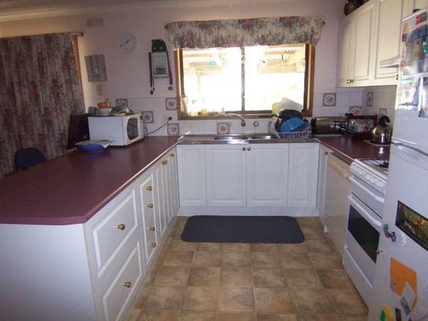 As Scarse As Hens Teeth - A 10 Acre Farmlet Picture 2