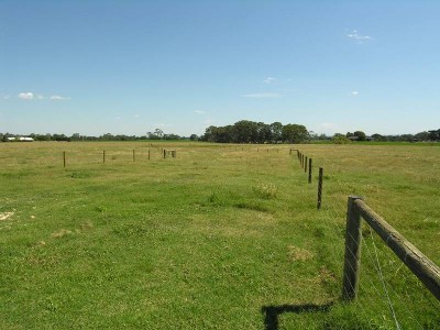 BUILD YOUR DREAM HOME HERE!!! Picture