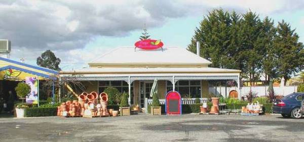 CAFE SUCCULENCE Picture 1