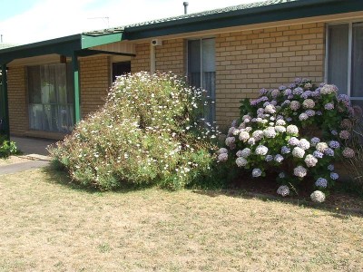 Fantastic Location! Picture