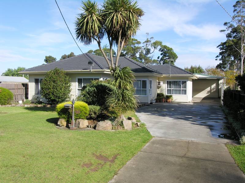 DO YOU NEED LOTS OF SHEDDING? Picture 1